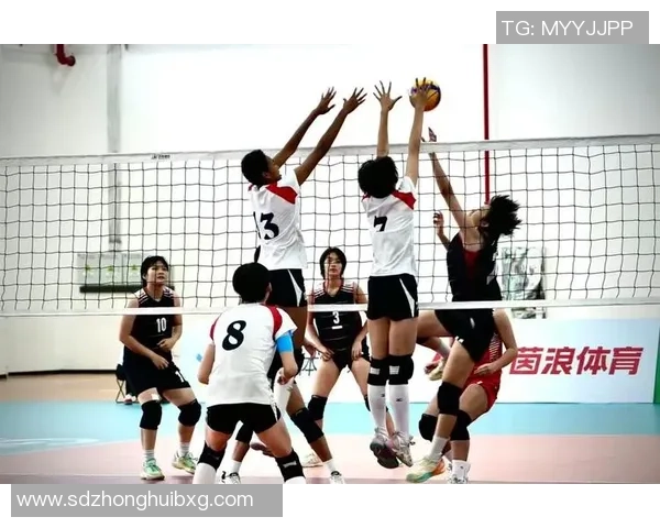 上海排球队的崛起与挑战:探索排球运动的力量与未来发展